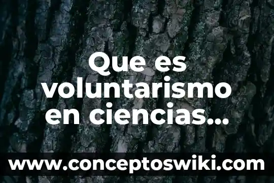 Qué es etimología en sociales 3 Que es voluntarismo en ciencias sociales
