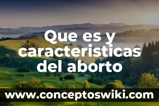 Que es el cubismo y sus caracteristicas de movimiento 3 Que es y caracteristicas del aborto