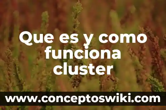 Que es la rnasa como funciona en la bacteria 5 Que es y como funciona cluster