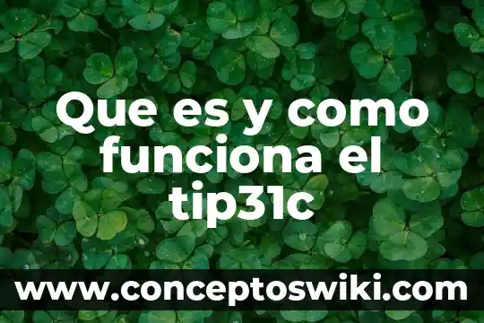 Que es y como funciona un sismógrafo 8 Que es y como funciona el tip31c