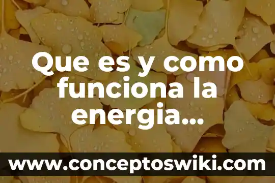 Que es la transformación de energía en algunos organos 7 Que es y como funciona la energia nucleoelectrica