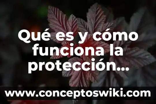 Que es la expiacion y que hace contra mundum 6 Qué es y cómo funciona la protección contra descargas atmosféricas
