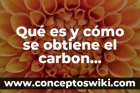 Para que es bueno el carbon 3 Qué es y cómo se obtiene el carbon activado