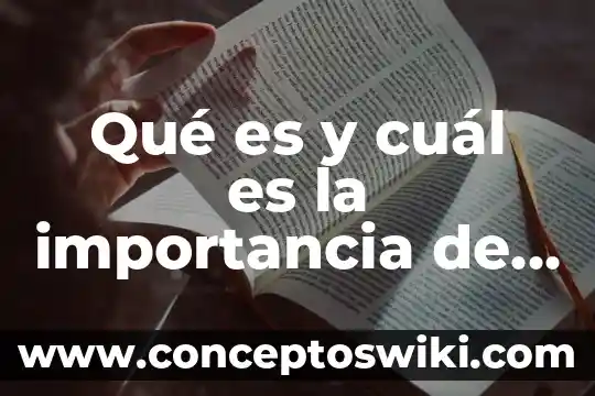 Qué es la tecnología de la información 6 Qué es y cuál es la importancia de la decantación