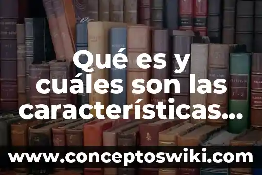 Qué es y cuáles son los cafés diferenciados 6 Qué es y cuáles son las características de un argumento
