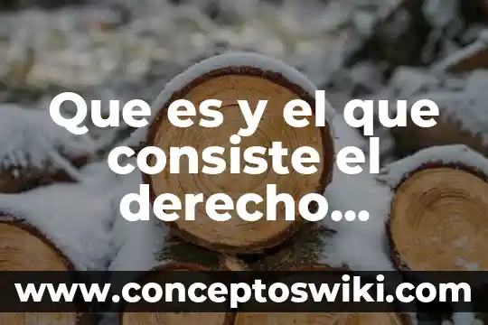 Qué es la periodicidad en derecho 8 Que es y el que consiste el derecho castense