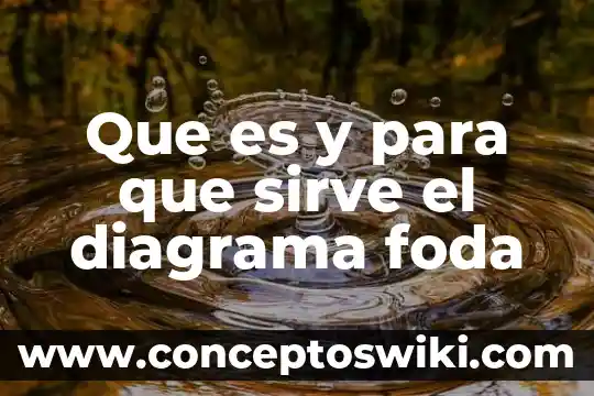 Que es la loapf y para que sirve 6 Que es y para que sirve el diagrama foda