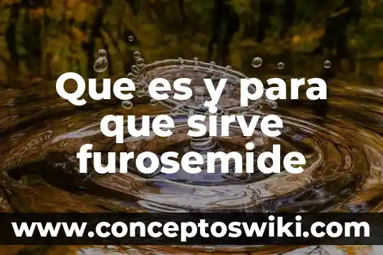 Flujómetro digital para agua: qué es y para qué sirve 3 Que es y para que sirve furosemide