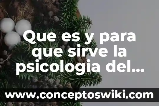 Psicología que es el aprendizaje y menoría 6 Que es y para que sirve la psicologia del color