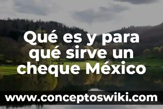 Qué es flujos de inversión extranjera directa en México 8 Qué es y para qué sirve un cheque México
