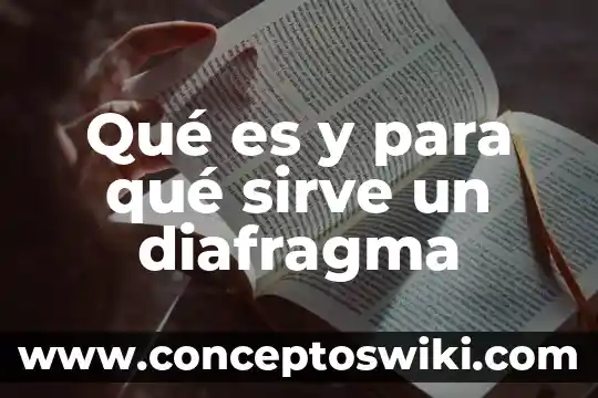 Flujómetro digital para agua: qué es y para qué sirve 4 Qué es y para qué sirve un diafragma