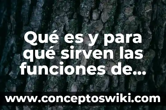Que es y para que sirven los organizadores graficos 8 Qué es y para qué sirven las funciones de Excel