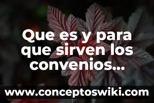 Qué es y para qué sirven los componentes SSR 3 Que es y para que sirven los convenios conciliatorios