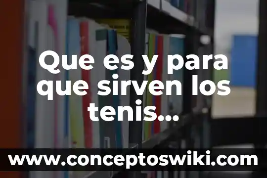 Qué es leer y para qué sirven los libros 4 Que es y para que sirven los tenis recargables