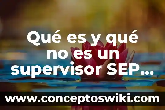 Que es un supervisor de aseguramiento de calidad 5 Qué es y qué no es un supervisor SEP Educación