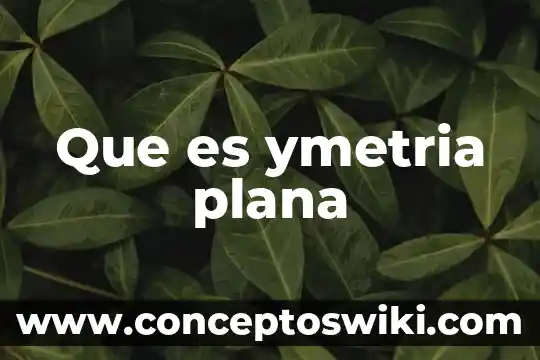 Que es estepa semidesértica muy plana 8 Que es ymetria plana