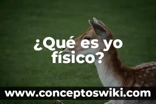 ¿Qué es la propedéutica físico matemático? 5 ¿Qué es yo físico?
