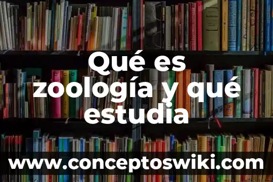 Que es estudia la macroeconomia 3 Qué es zoología y qué estudia