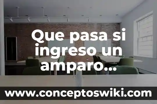 Que es el discurso directo y discurso indirecto 7 Que pasa si ingreso un amparo indirecto que es directo