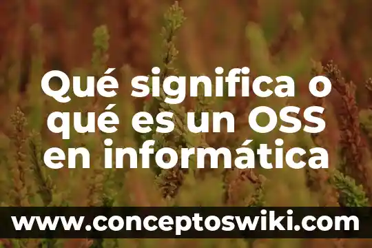 Que se significa que es algo logico 5 Qué significa o qué es un OSS en informática