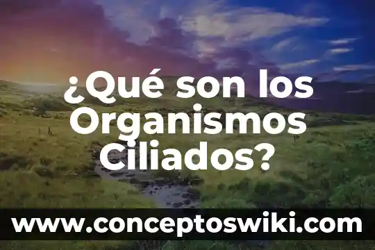 Que es un organismos o indeviduos 8 ¿Qué son los Organismos Ciliados?
