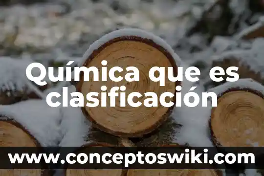 Que es el activo de una empresa y su clasificaci贸n 8 Qu铆mica que es clasificaci贸n