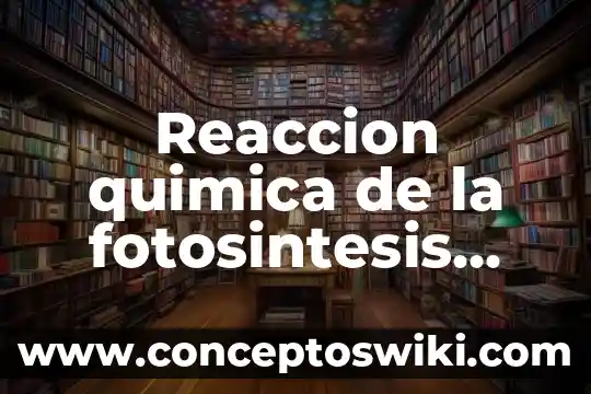 Qué es recurrente en economía 7 Reaccion quimica de la fotosintesis que es