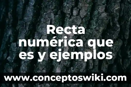 Que es la simbologia y sus ejemplos 6 Recta numérica que es y ejemplos