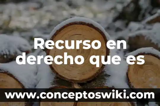 Qué es licencia en derecho constitucional 8 Recurso en derecho que es