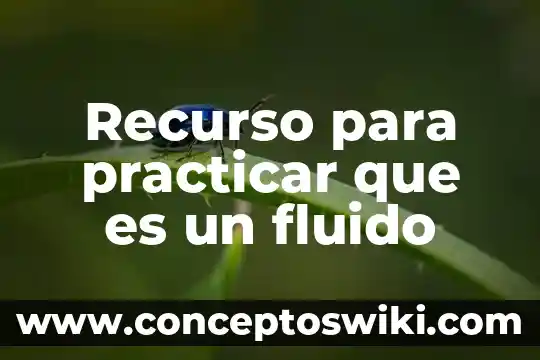 Que es el recurso de revidsion 7 Recurso para practicar que es un fluido