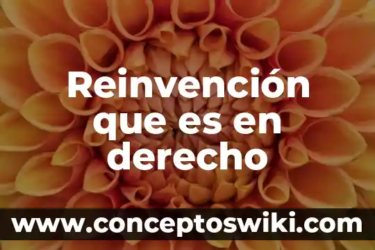 Nada que es mio por derecho de conciencia 5 Reinvención que es en derecho