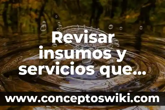 Qué es insumos y servicios 3 Revisar insumos y servicios que es