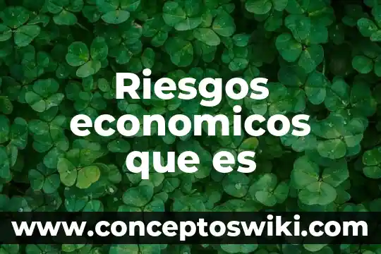 Que es el tuan en terminos economicos 4 Riesgos economicos que es