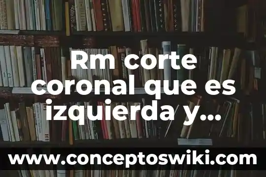 Que es la derecha politica en mexico 7 Rm corte coronal que es izquierda y derecha