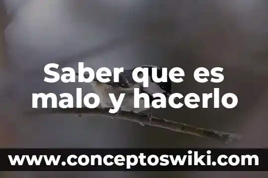 Debes caer para saber que es levantarse 7 Saber que es malo y hacerlo
