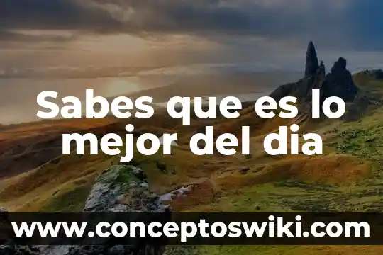 Qué es mejor un aparrico o catedral 6 Sabes que es lo mejor del dia