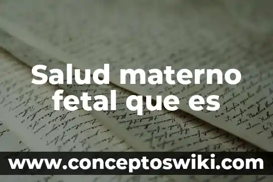 Desarrollo embrionario fetal que es 7 Salud materno fetal que es