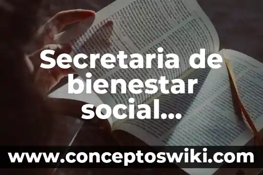Qué es manantial de vida Tampico Tamaulipas 5 Secretaria de bienestar social tamaulipas que es