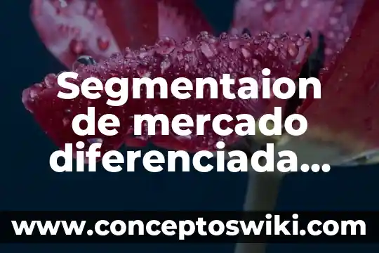 Que es estudio de mercado y que investigacion de mercado 3 Segmentaion de mercado diferenciada que es