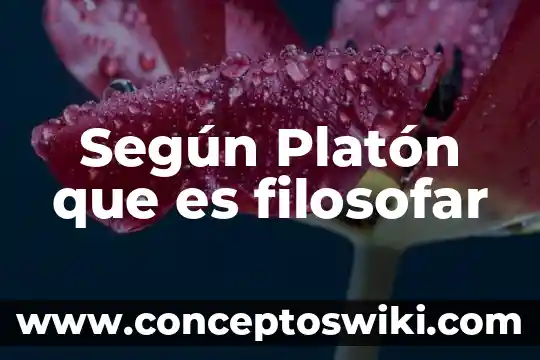 Que es la injusticia segun platon 8 Según Platón que es filosofar