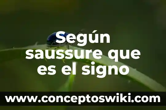 ¿Qué es punto coma, signo de admiración, signo de interrogación? 7 Según saussure que es el signo