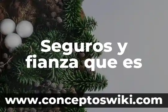 Que es un seguros de viaje internacional 4 Seguros y fianza que es