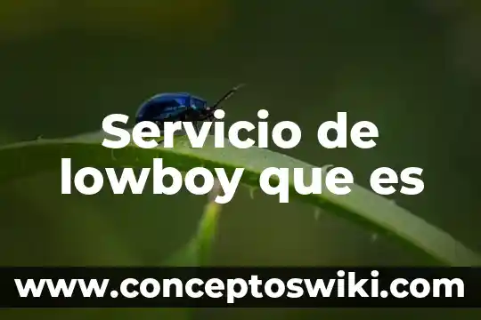 Que es alias de servicio 7 Servicio de lowboy que es