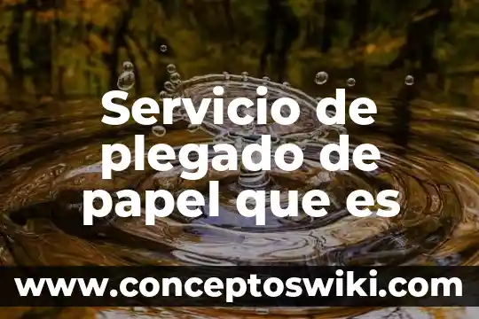 Qué es medio y qué es servicio en un negocio 6 Servicio de plegado de papel que es