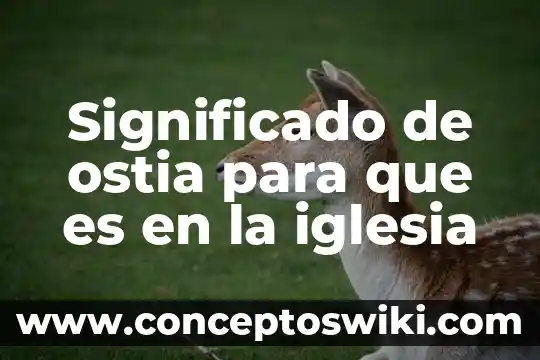 Significado que es el odido para niños 8 Significado de ostia para que es en la iglesia