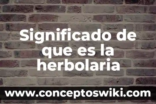 Que es la herbolaria historia 3 Significado de que es la herbolaria