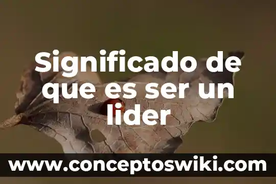 Que es ser indecoroso 4 Significado de que es ser un lider