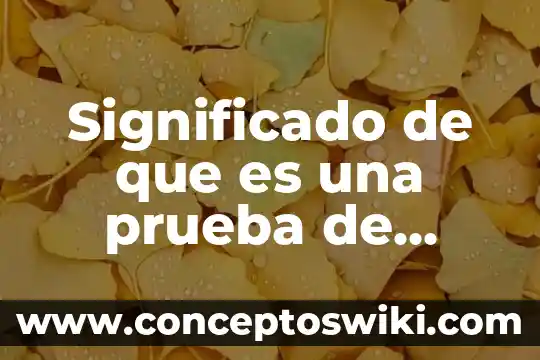 Que es la prueba irreproducible 3 Significado de que es una prueba de ensayo