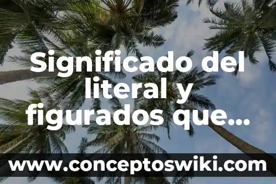 Que es birote significado 5 Significado del literal y figurados que es el significado