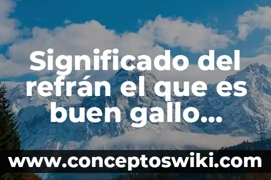 Significado del refrán el que es panzón aunque lo fajen 6 Significado del refrán el que es buen gallo dondequiera canta